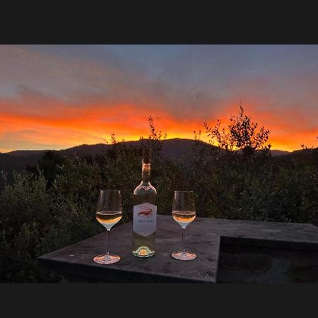Il Gabbiano Di Pieve Bed & Breakfast Pieve Ligure Dış mekan fotoğraf