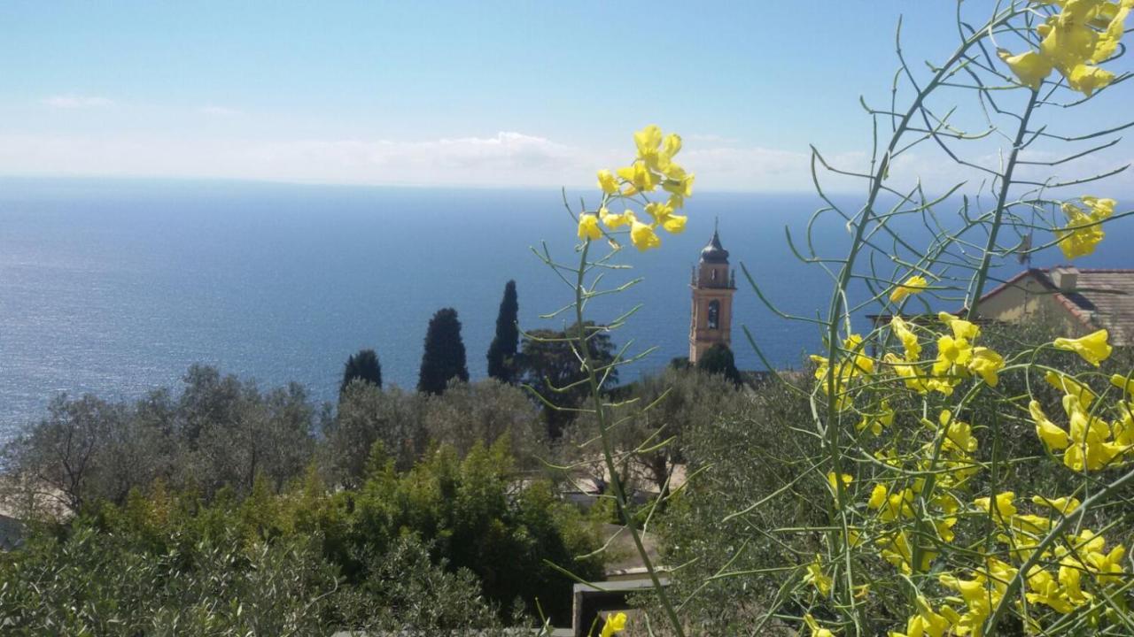 Il Gabbiano Di Pieve Bed & Breakfast Pieve Ligure Dış mekan fotoğraf
